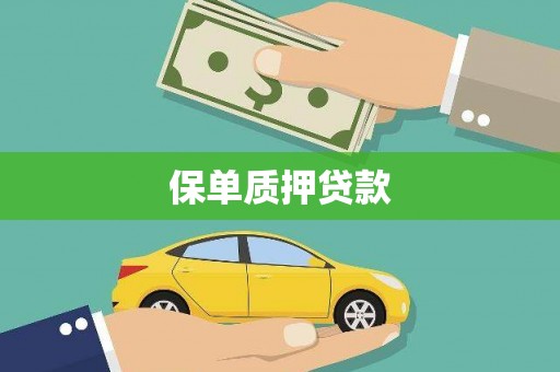 磐石保单质押贷款