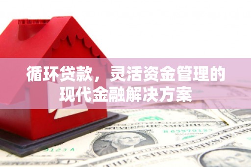 磐石循环贷款，灵活资金管理的现代金融解决方案