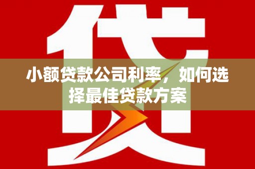 磐石小额贷款公司利率，如何选择最佳贷款方案