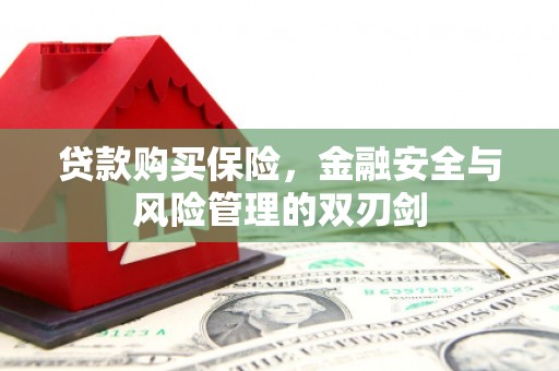 磐石贷款购买保险，金融安全与风险管理的双刃剑