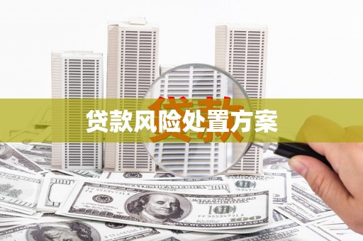 磐石贷款风险处置方案