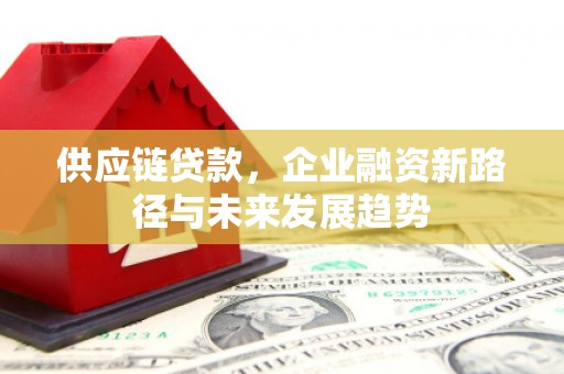 磐石供应链贷款，企业融资新路径与未来发展趋势