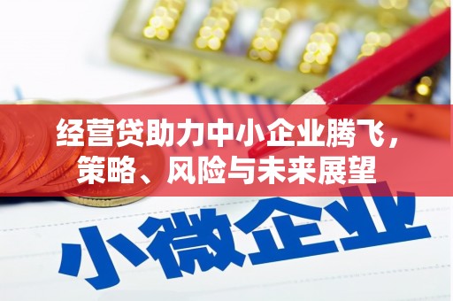 磐石经营贷助力中小企业腾飞，策略、风险与未来展望