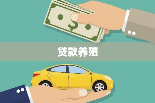 磐石贷款养殖