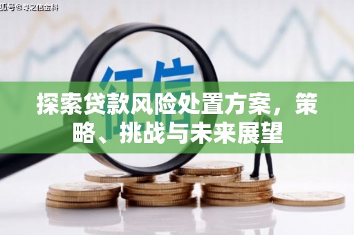 磐石探索贷款风险处置方案，策略、挑战与未来展望