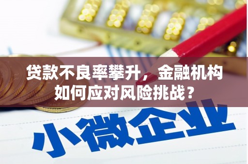 磐石贷款不良率攀升，金融机构如何应对风险挑战？