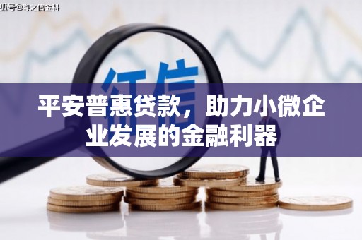 磐石平安普惠贷款，助力小微企业发展的金融利器