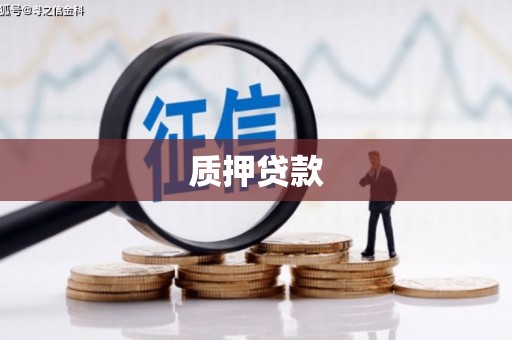 磐石质押贷款