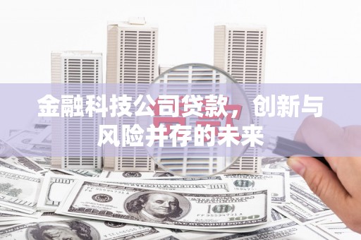 磐石金融科技公司贷款，创新与风险并存的未来