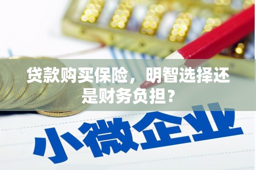 磐石贷款购买保险，明智选择还是财务负担？