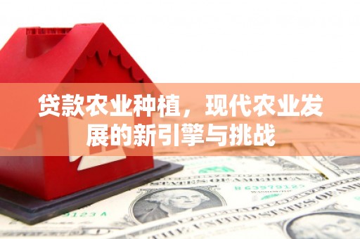 磐石贷款农业种植，现代农业发展的新引擎与挑战