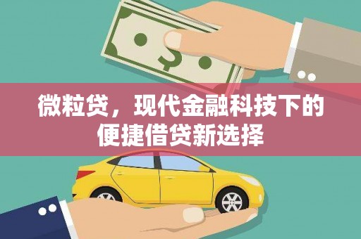 磐石微粒贷，现代金融科技下的便捷借贷新选择