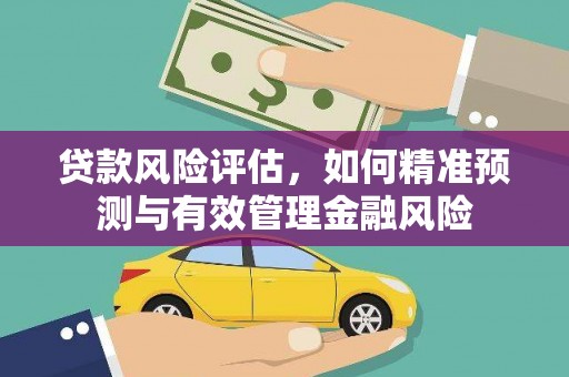 磐石贷款风险评估，如何精准预测与有效管理金融风险