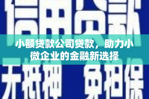 磐石小额贷款公司贷款，助力小微企业的金融新选择