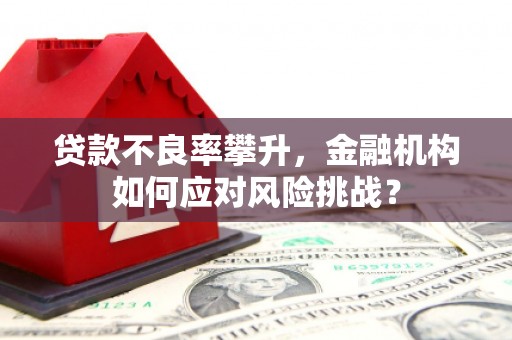 磐石贷款不良率攀升，金融机构如何应对风险挑战？