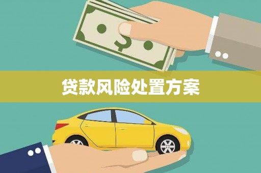 磐石贷款风险处置方案