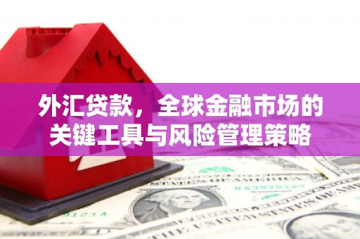 磐石外汇贷款，全球金融市场的关键工具与风险管理策略