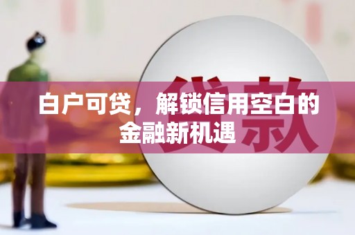 磐石白户可贷，解锁信用空白的金融新机遇