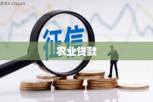 磐石农业贷款