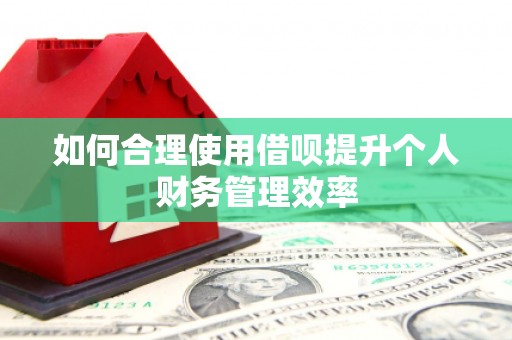 磐石如何合理使用借呗提升个人财务管理效率