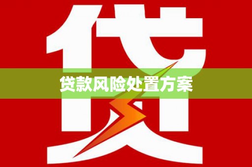 磐石贷款风险处置方案