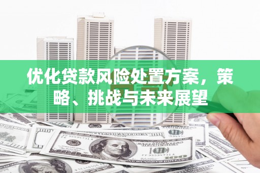 磐石优化贷款风险处置方案，策略、挑战与未来展望