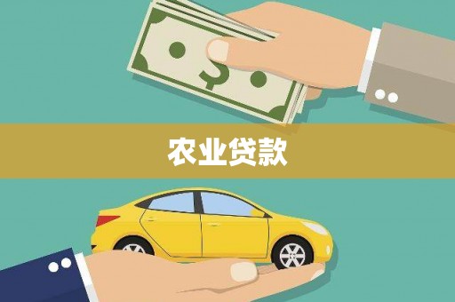 磐石农业贷款