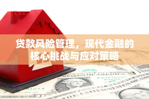 磐石贷款风险管理，现代金融的核心挑战与应对策略