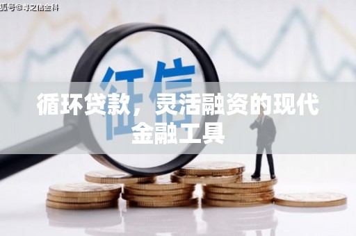 磐石循环贷款，灵活融资的现代金融工具