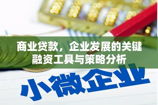 磐石商业贷款，企业发展的关键融资工具与策略分析
