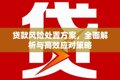 磐石贷款风险处置方案，全面解析与高效应对策略