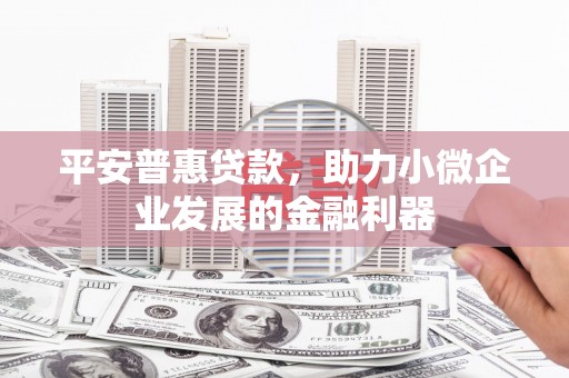 磐石平安普惠贷款，助力小微企业发展的金融利器