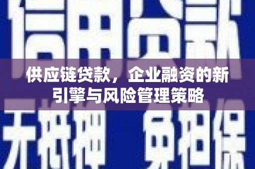 磐石供应链贷款，企业融资的新引擎与风险管理策略