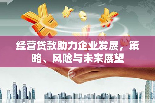 磐石经营贷款助力企业发展，策略、风险与未来展望