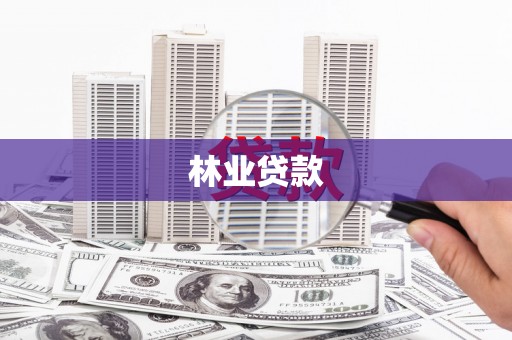 磐石林业贷款