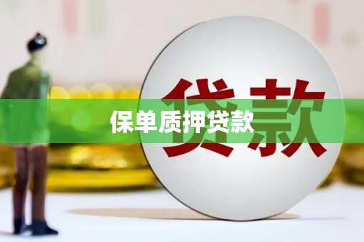 磐石保单质押贷款
