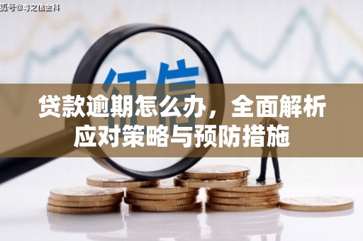 磐石贷款逾期怎么办，全面解析应对策略与预防措施