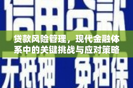 磐石贷款风险管理，现代金融体系中的关键挑战与应对策略