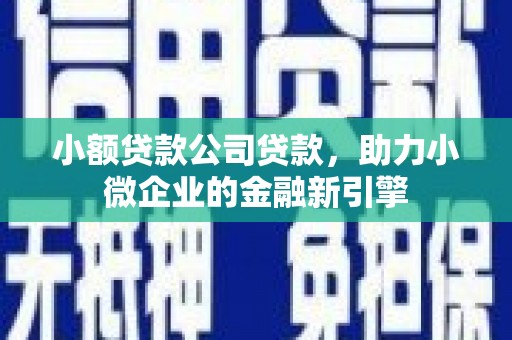 磐石小额贷款公司贷款，助力小微企业的金融新引擎
