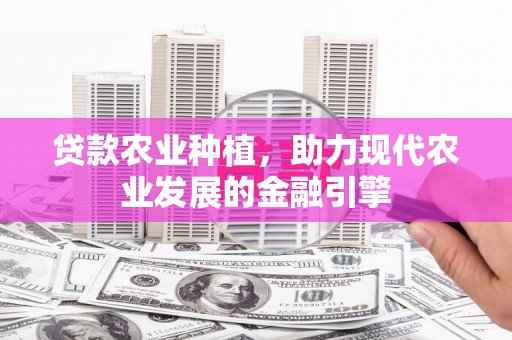 磐石贷款农业种植，助力现代农业发展的金融引擎