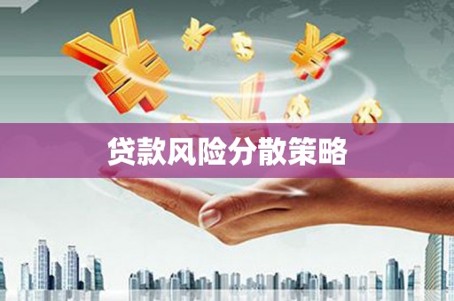 磐石贷款风险分散策略