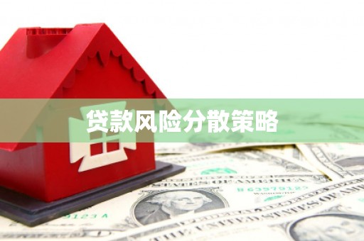 磐石贷款风险分散策略