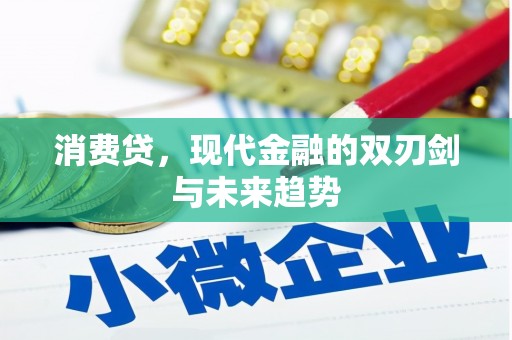 磐石消费贷，现代金融的双刃剑与未来趋势