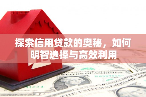 磐石探索信用贷款的奥秘，如何明智选择与高效利用