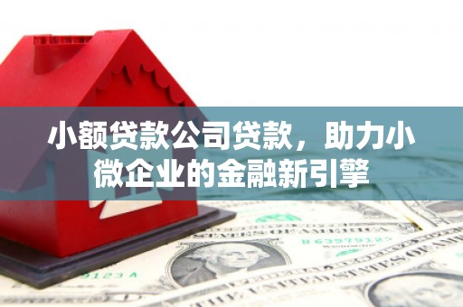 磐石小额贷款公司贷款，助力小微企业的金融新引擎