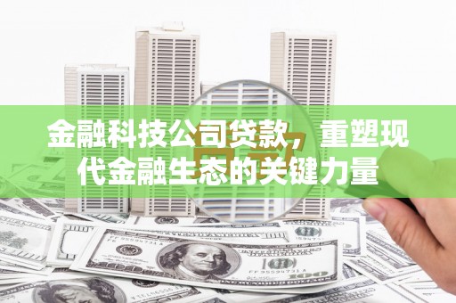 磐石金融科技公司贷款，重塑现代金融生态的关键力量