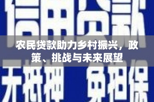 磐石农民贷款助力乡村振兴，政策、挑战与未来展望