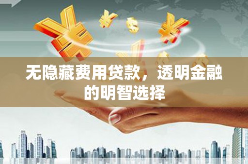 磐石无隐藏费用贷款，透明金融的明智选择