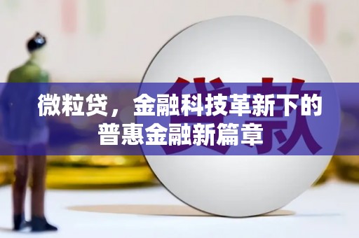 磐石微粒贷，金融科技革新下的普惠金融新篇章