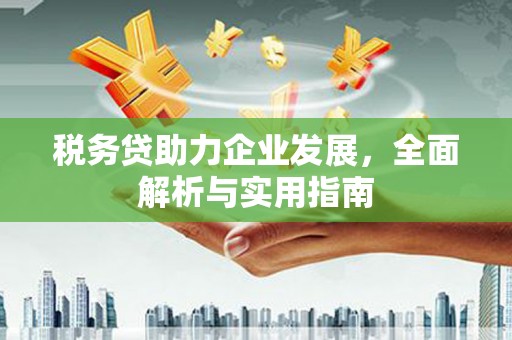 磐石税务贷助力企业发展，全面解析与实用指南